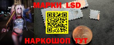 дмт Краснодар