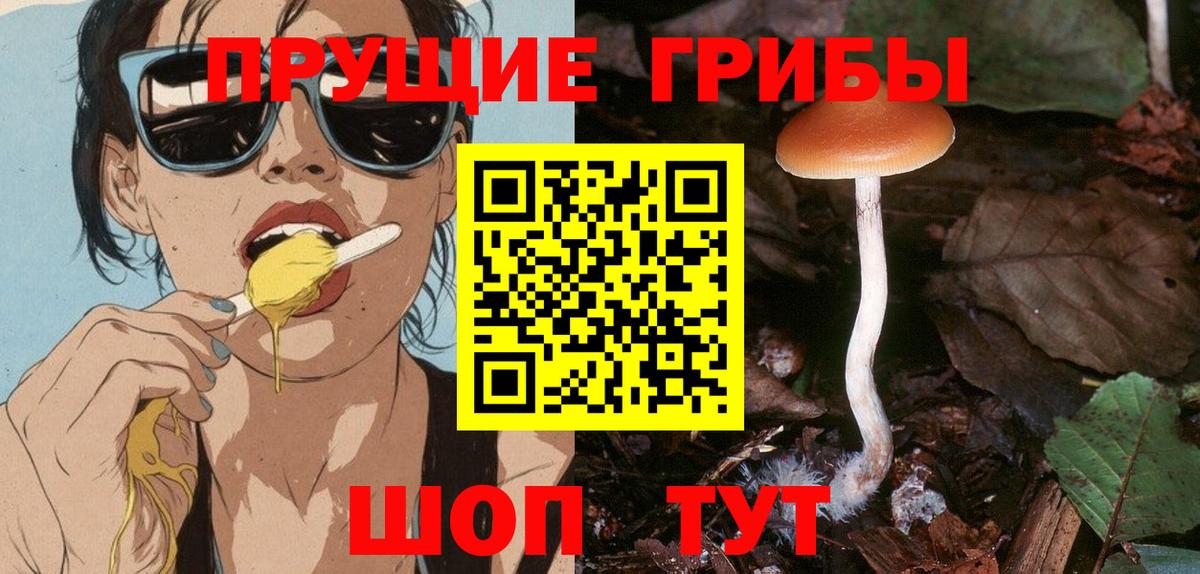 Куйбышев  Псилоцибиновые грибы мицелий  Псилоцибиновые грибы мухоморы  Вход с VPN 