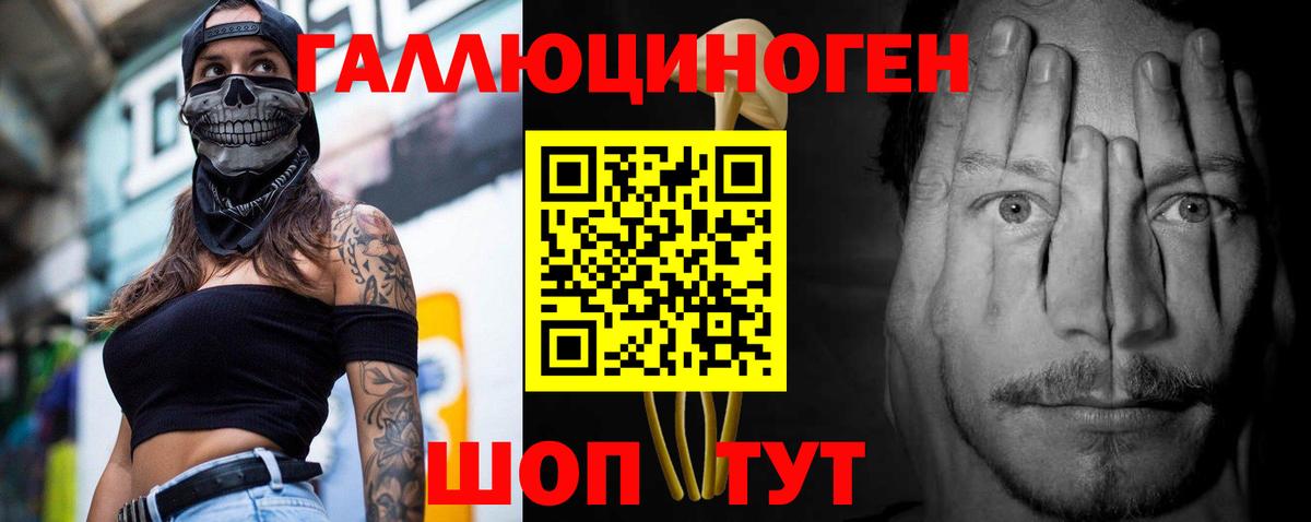 Псилоцибиновые грибы Psilocybine cubensis Куйбышев